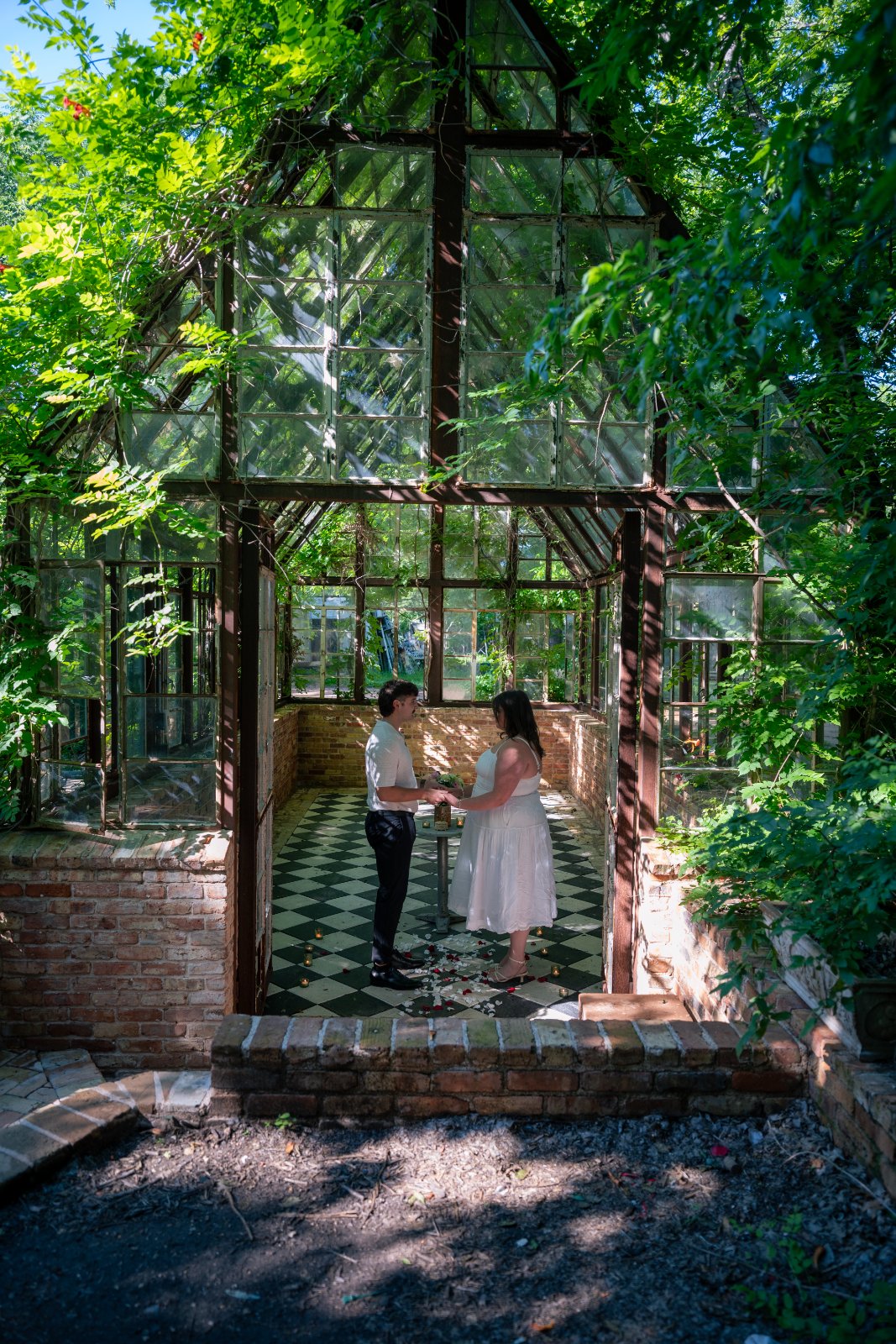 Romantic proposal moment of a couple holding hands inside a sunlit greenhouse surrounded by greenery — taken by Zan Visuals.