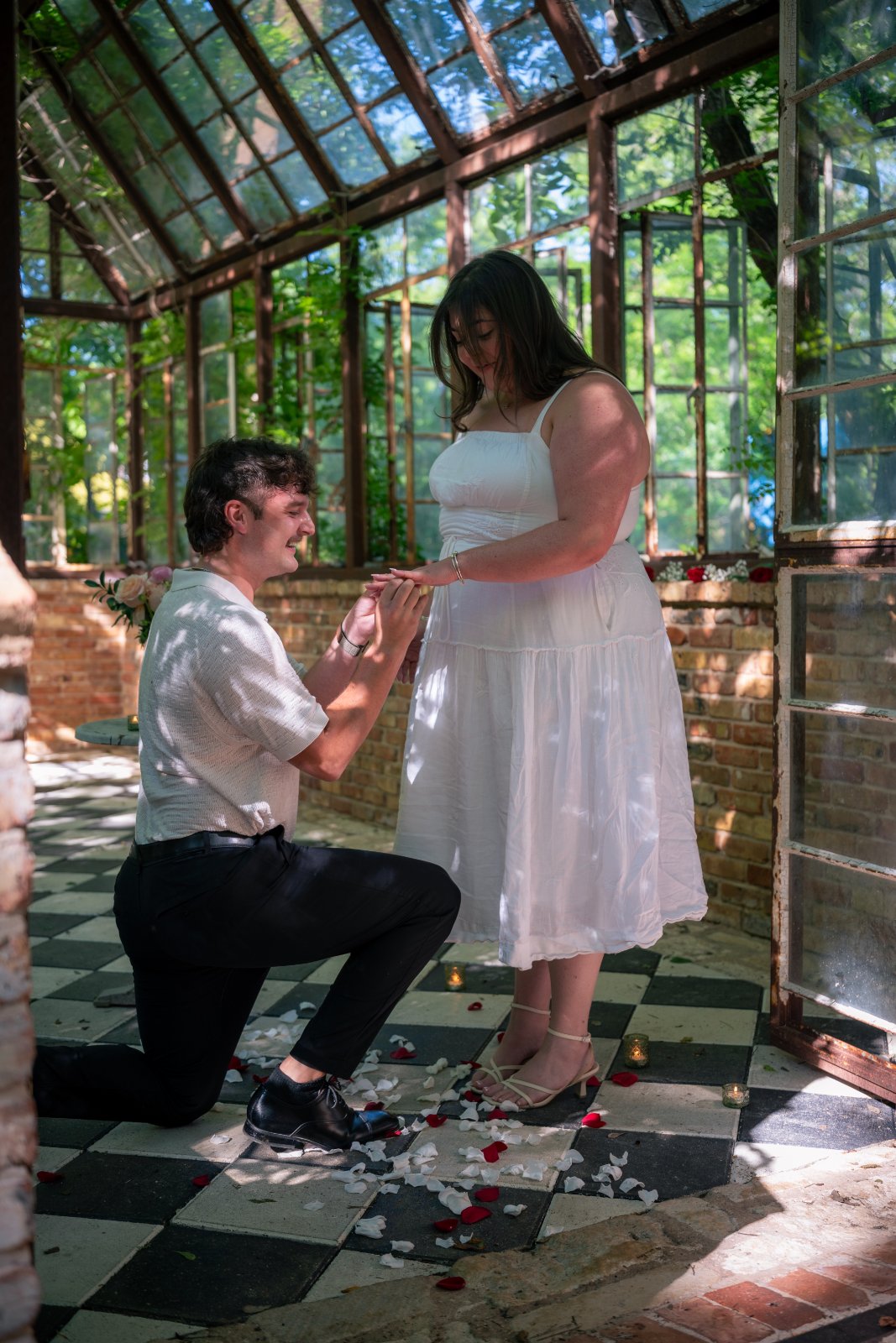 Emotional proposal moment with one partner kneeling inside a sunlit greenhouse surrounded by candles and rose petals — taken by Zan Visuals.